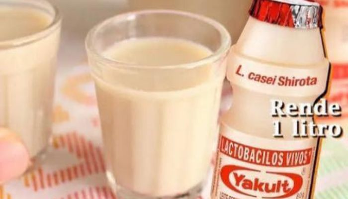 Yakult Caseiro