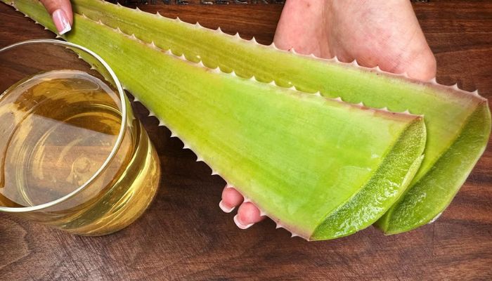 Gel de Aloe Vera